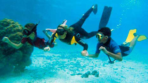 Buceo en Jardines de la Reina