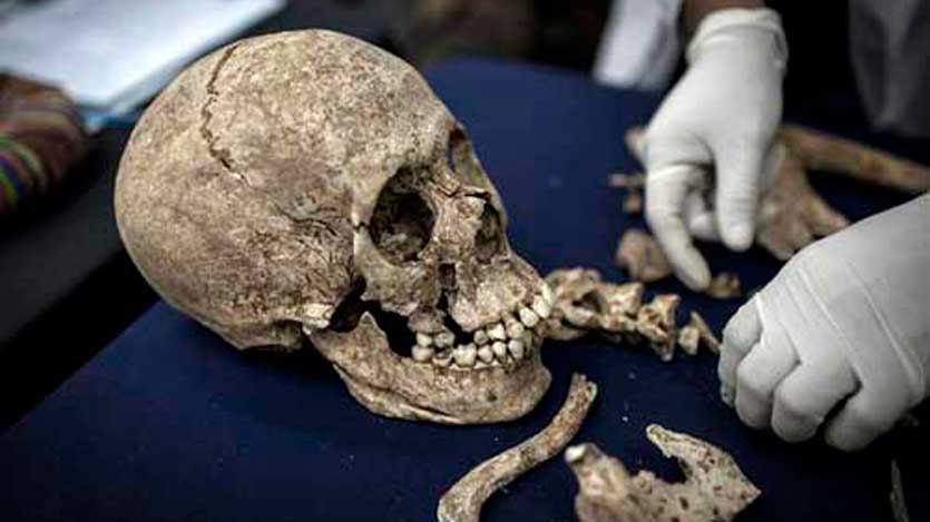 Caravela humana