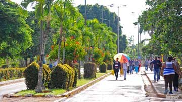 Estudiantes universitarios de la UNICA