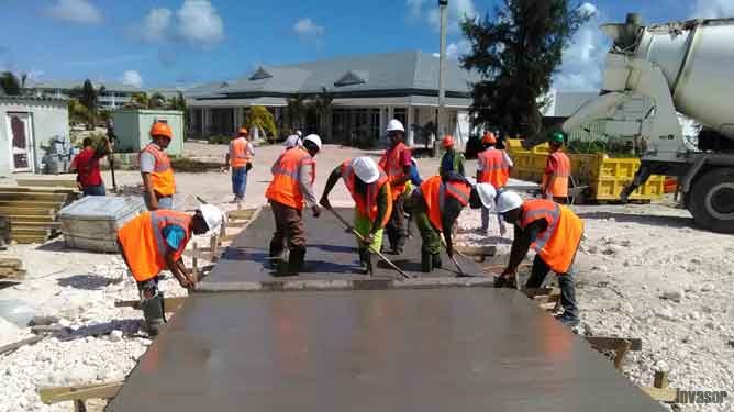 Trabajadores en proceso laboral