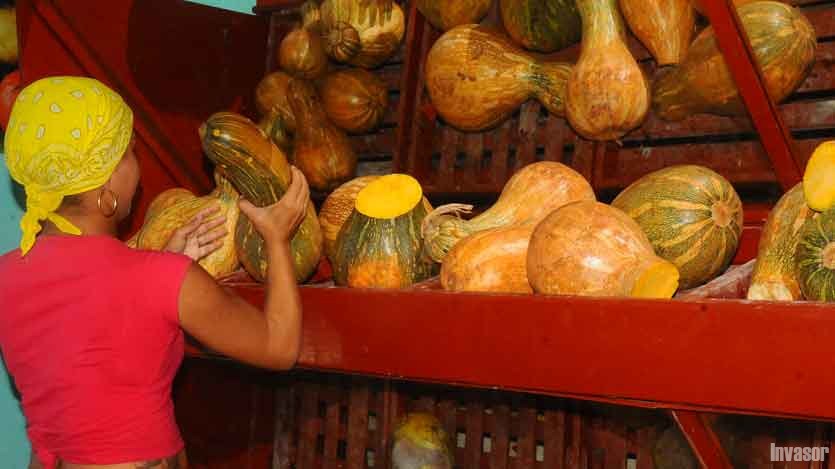Mujer comprando viandas