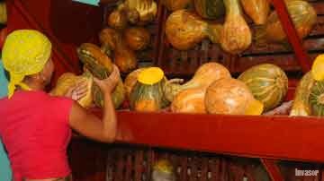 Mujer comprando viandas