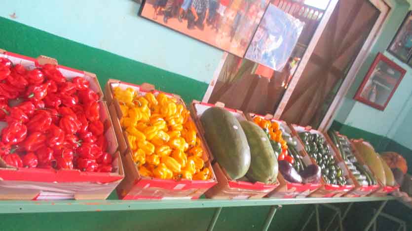 Frutas de Ceballos
