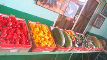 Frutas de Ceballos