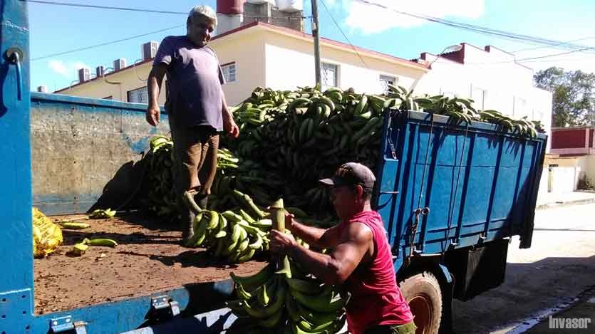 Hombres cargando viandas