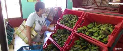 Mujer comprando viandas