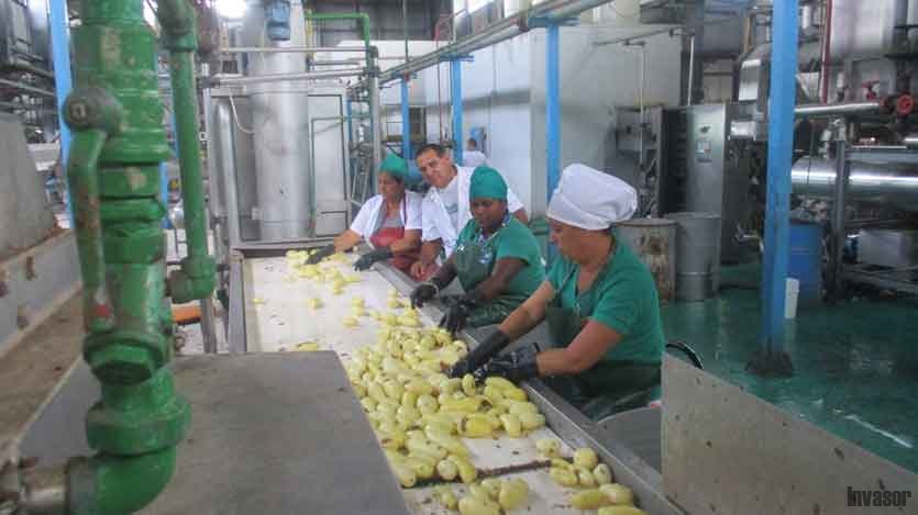 Producción de papas