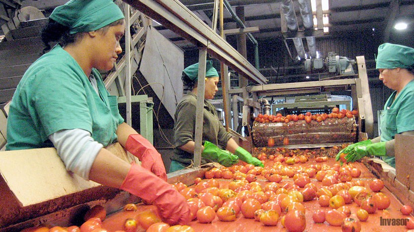 Mujeres, procesamiento de tomates 