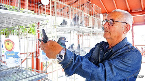 Hombre con paloma en las manos