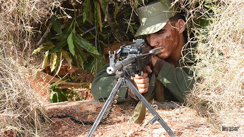 Día de la Defensa