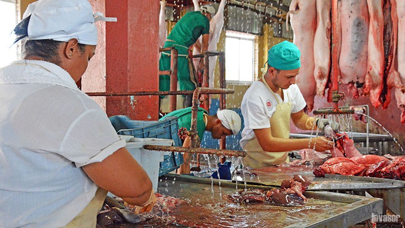 Personas laboran en el matadero