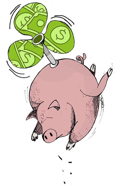 puerco volando