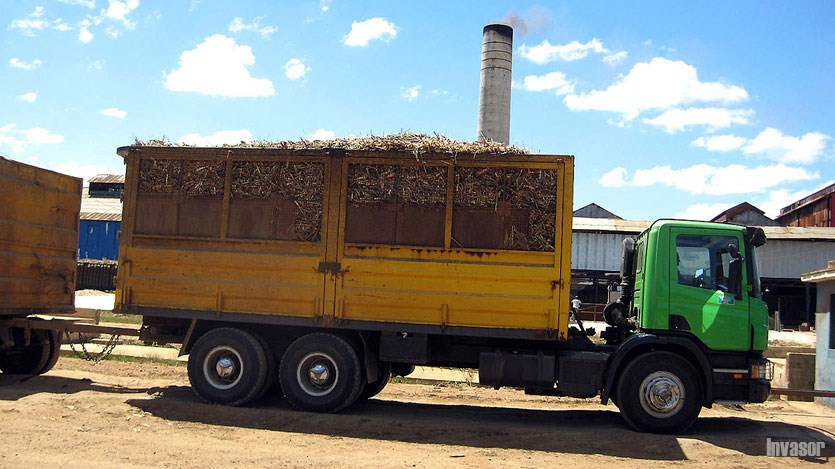 Camion con caña