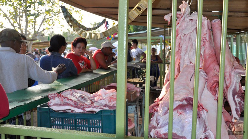 Venta de cerdos