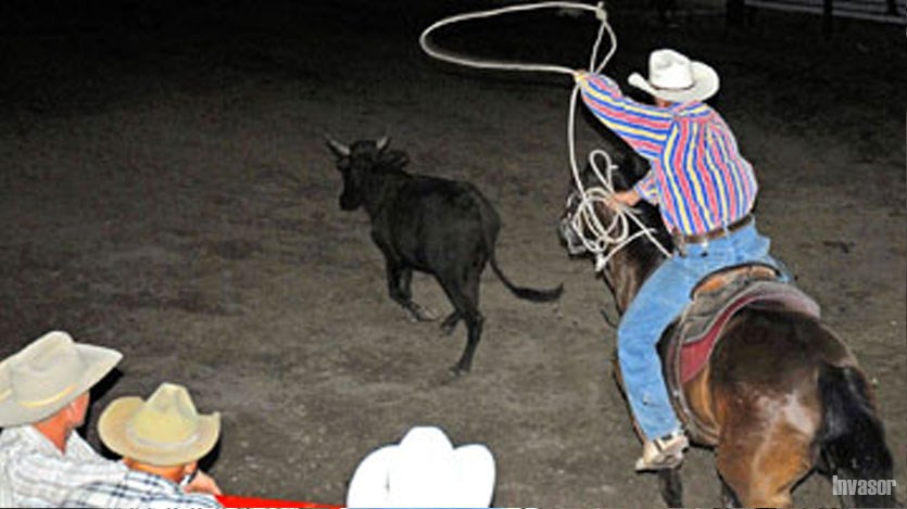 Rodeo