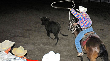 Rodeo
