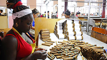Fábrica de tabaco