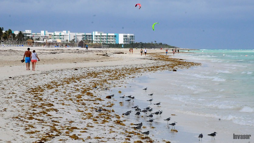 Jardines del Rey