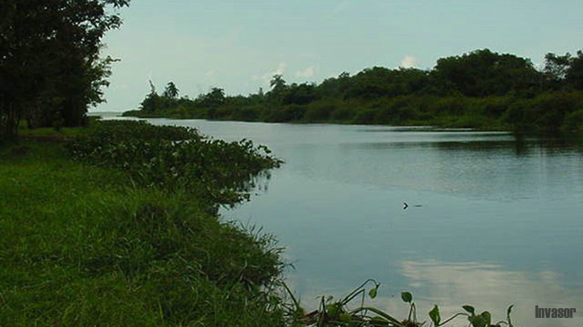 La Redonda