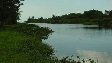 La Redonda