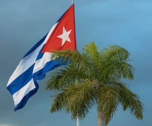 Bandera y palma