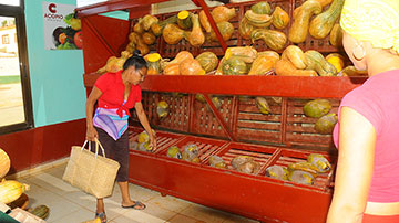 Venta de viandas