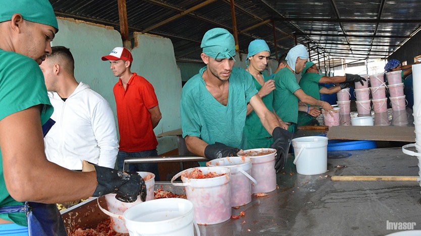 Elaboración de alimentos
