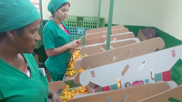 Empresa Agroindustrial Ceballos