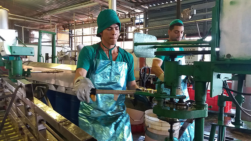 Hombres trabajan en la minindustria