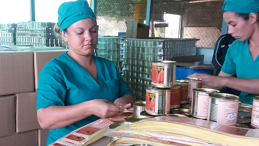 Mujeres minindustria