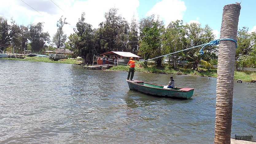 Bote
