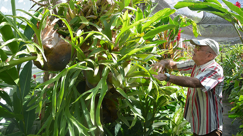 Jardín