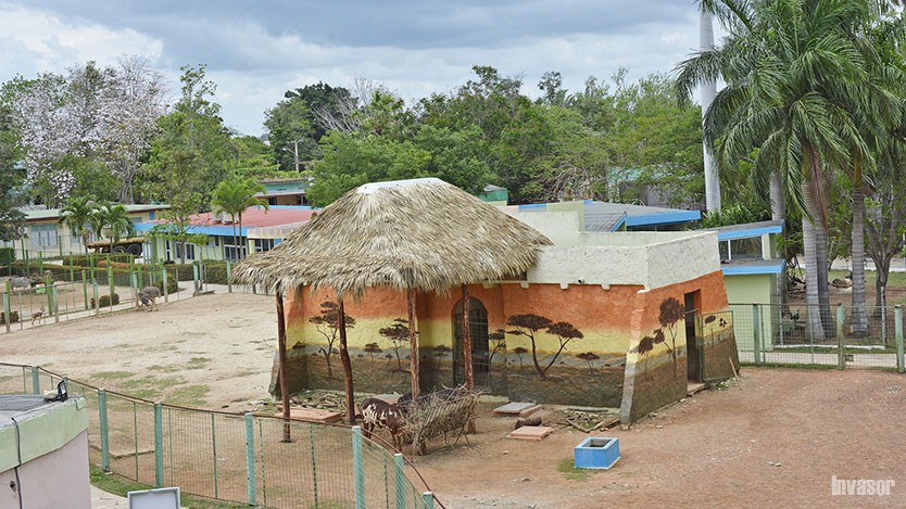 Zoológico 