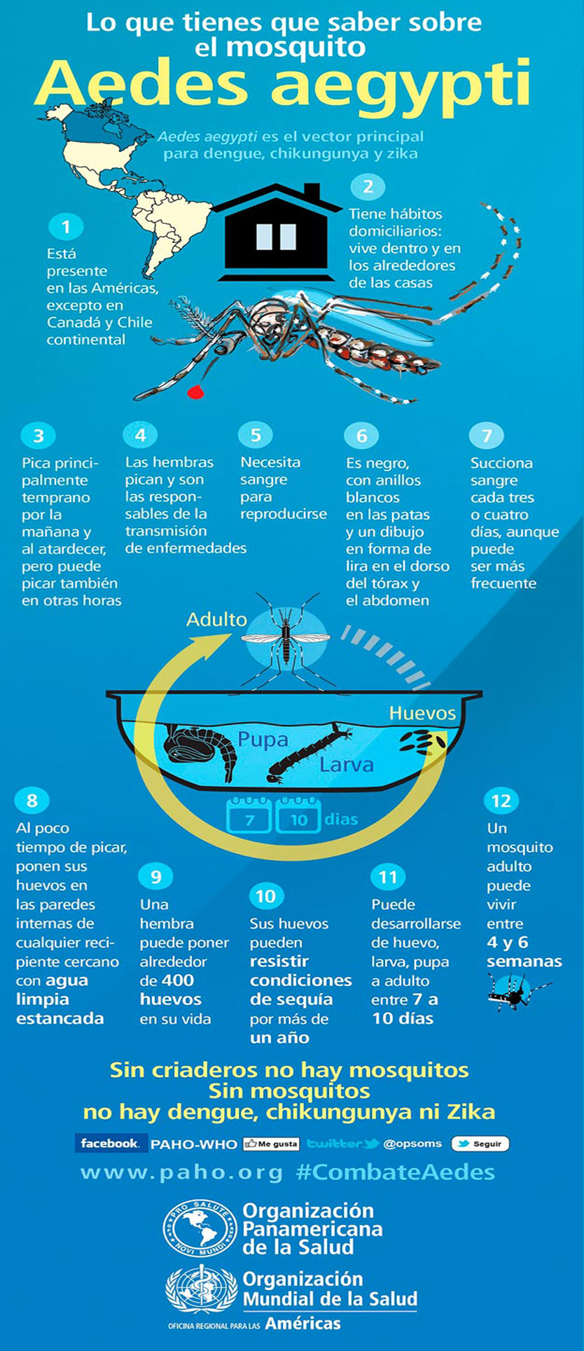 infografia