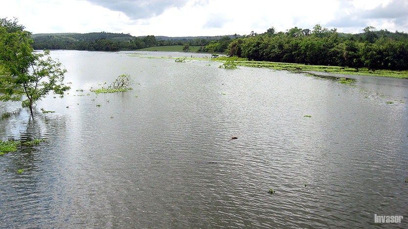Acuífero avileño 