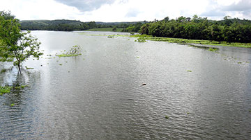 Acuífero avileño 