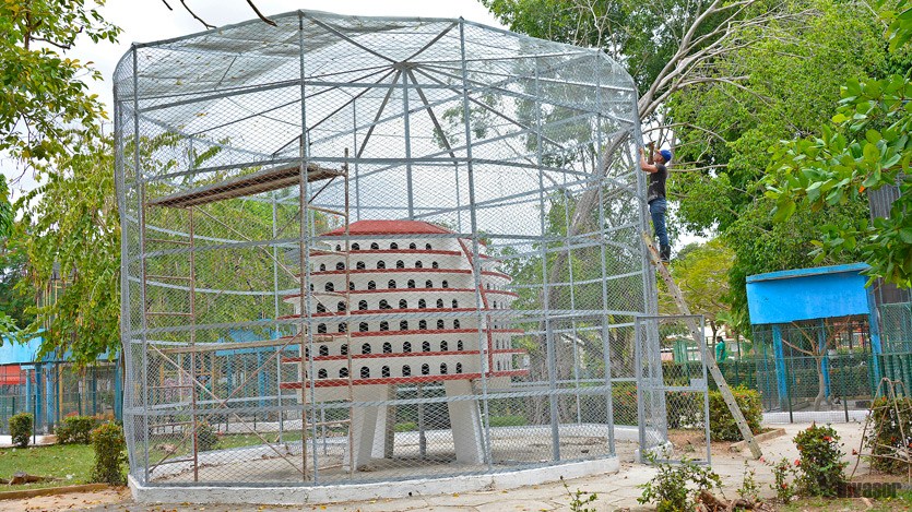 zoologico