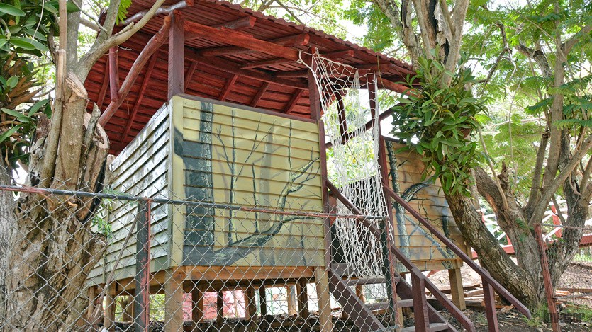 zoologico