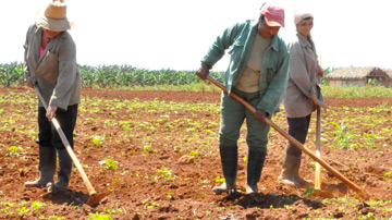 Mujeres trabajando la tierra