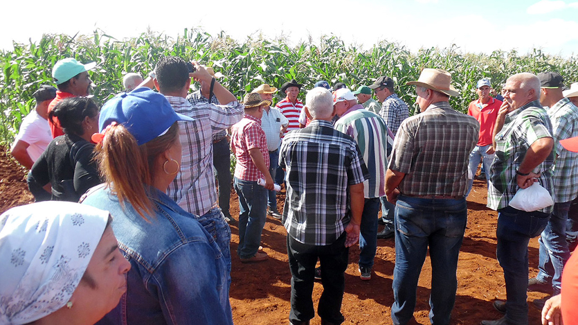 Asociación Nacional de Agricultores Pequeños 