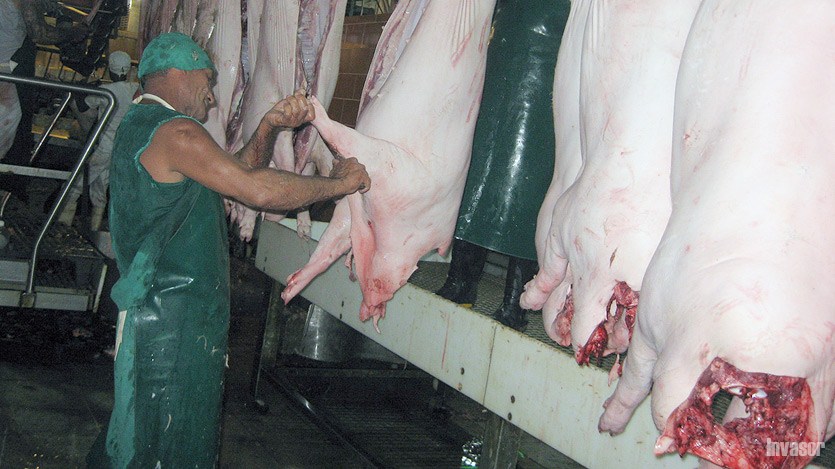 Matadero