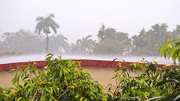 Lluvia