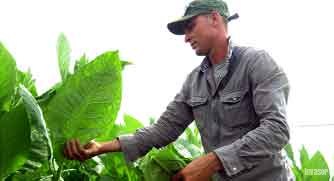 Joven agricultor