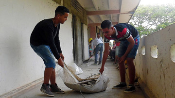 Estudiantes trabajan en la escuela