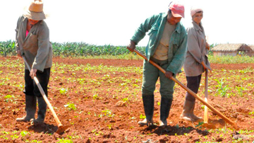 Campesinos en la tierra