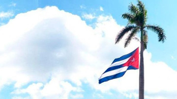 Bandera y palma
