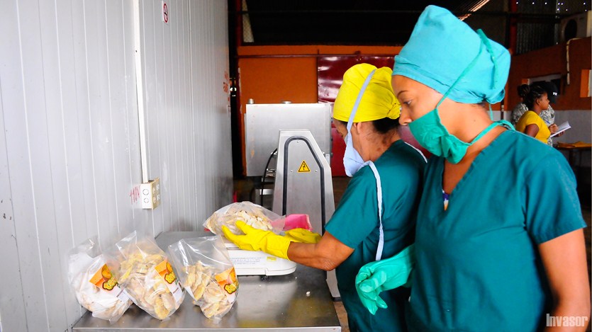 Mujeres en proceso laboral