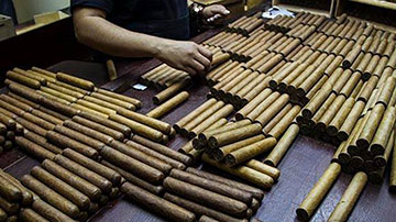 Tabaco Cohiba