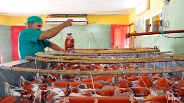 Proceso laboral, alimentación