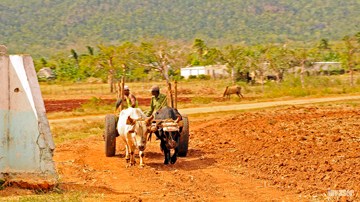 Campo, campesinos, tierra